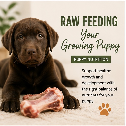 Raw Feeding Your Growing Puppy